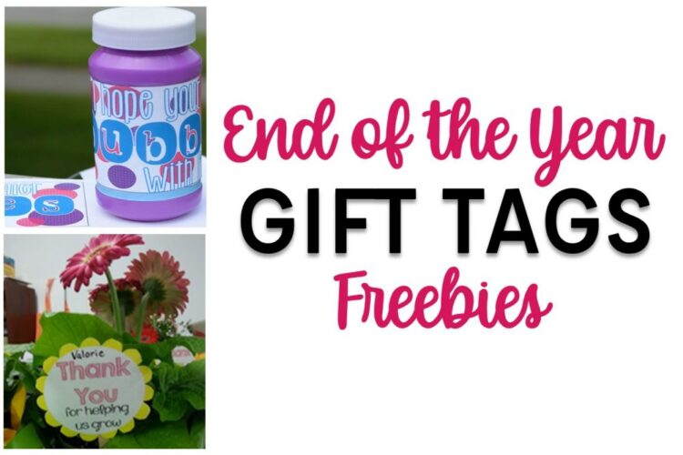 End of the Year Freebies for Teachers