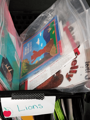 guided reading books in book bins